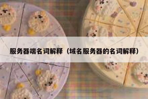 服务器端名词解释（域名服务器的名词解释） 第1张