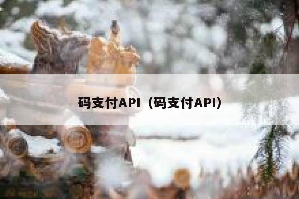 码支付API(码支付API) 第1张 码支付API(码支付API) 第1张