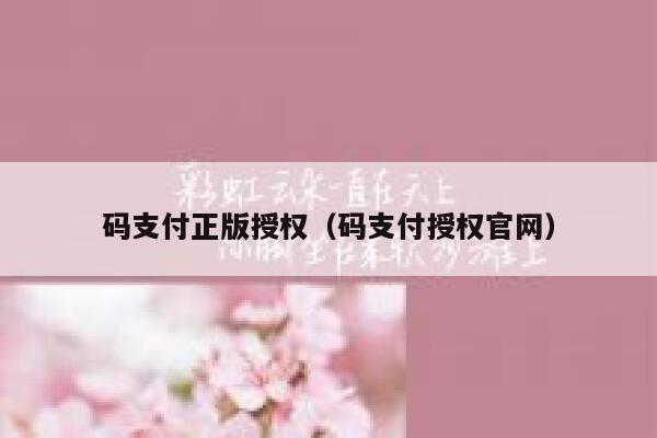 码支付正版授权（码支付授权官网） 第1张