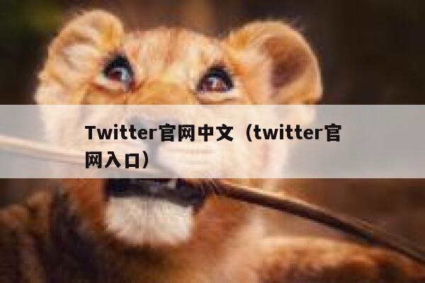 Twitter官网中文（twitter官网入口） 第1张