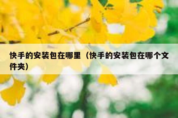 快手的安装包在哪里（快手的安装包在哪个文件夹） 第1张