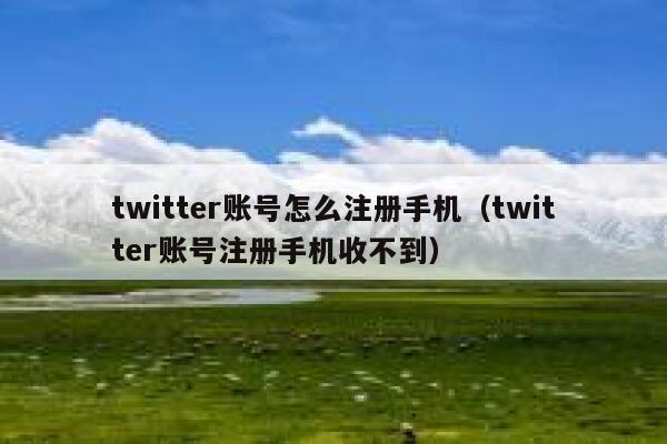 twitter账号怎么注册手机（twitter账号注册手机收不到） 第1张
