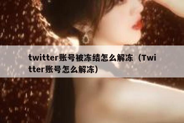 twitter账号被冻结怎么解冻（Twitter账号怎么解冻） 第1张