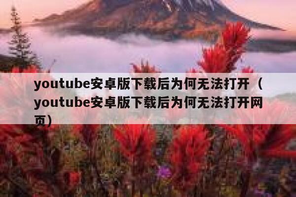 youtube安卓版下载后为何无法打开（youtube安卓版下载后为何无法打开网页） 第1张