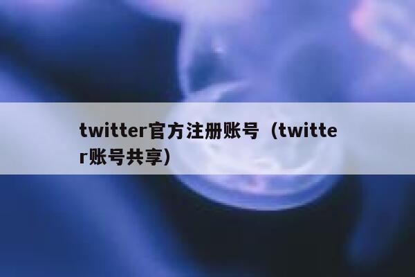 twitter官方注册账号（twitter账号共享） 第1张
