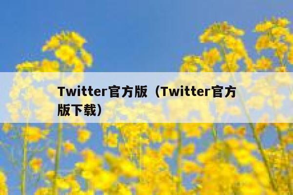 Twitter官方版（Twitter官方版下载） 第1张