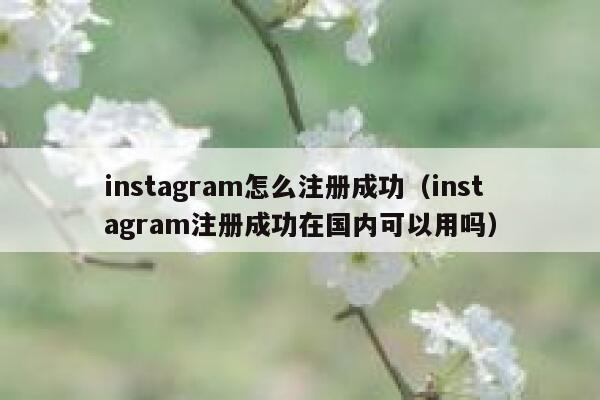 instagram怎么注册成功（instagram注册成功在国内可以用吗） 第1张
