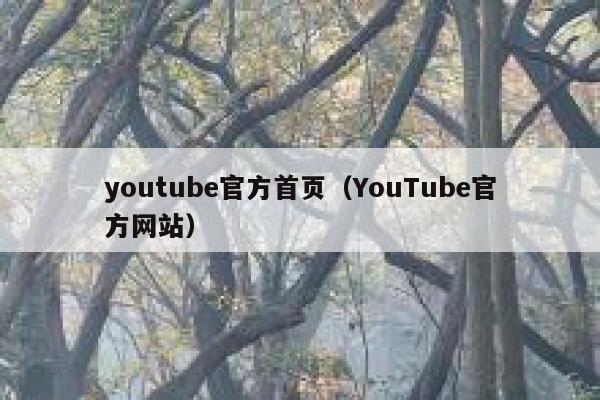 youtube官方首页（YouTube官方网站） 第1张