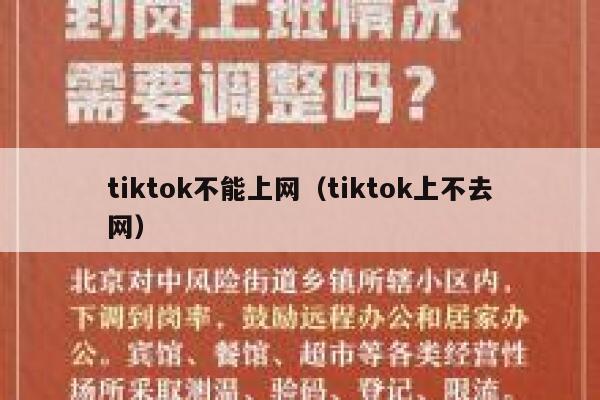 tiktok不能上网（tiktok上不去网） 第1张