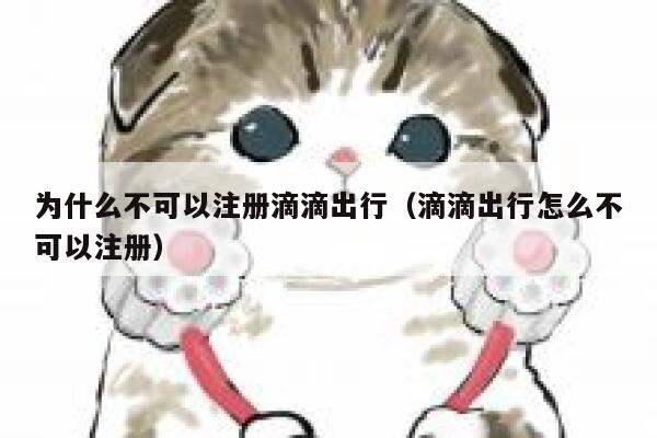 为什么不可以注册滴滴出行（滴滴出行怎么不可以注册） 第1张