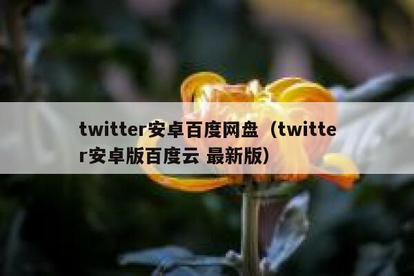 twitter安卓百度网盘（twitter安卓版百度云 最新版） 第1张