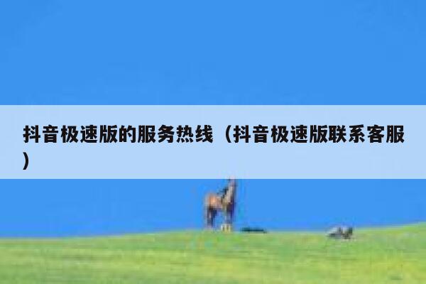 抖音极速版的服务热线（抖音极速版联系客服） 第1张