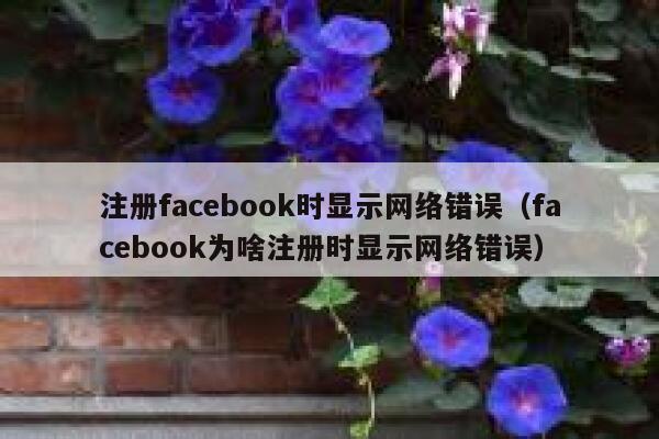 注册facebook时显示网络错误（facebook为啥注册时显示网络错误） 第1张