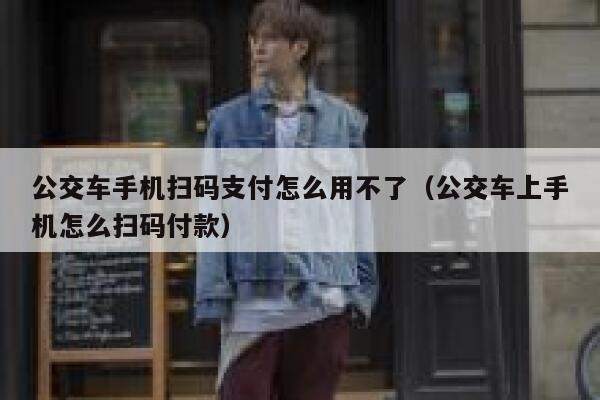 公交车手机扫码支付怎么用不了（公交车上手机怎么扫码付款） 第1张
