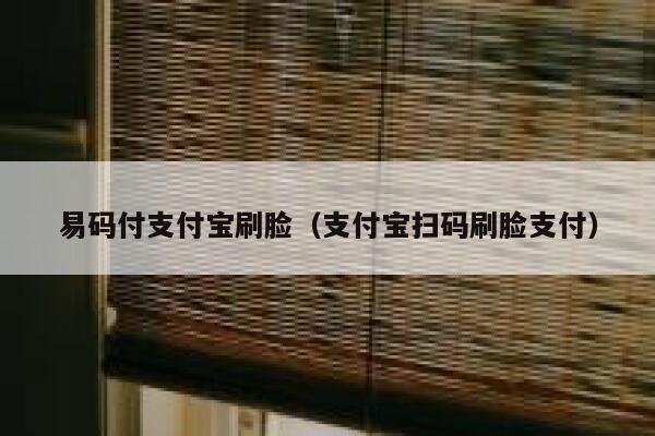易码付支付宝刷脸（支付宝扫码刷脸支付） 第1张