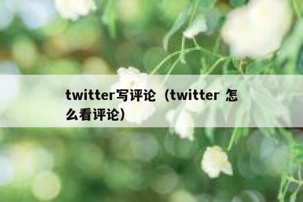 twitter写评论（twitter 怎么看评论） 第1张