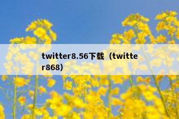 twitter8.56下载（twitter868） 第1张