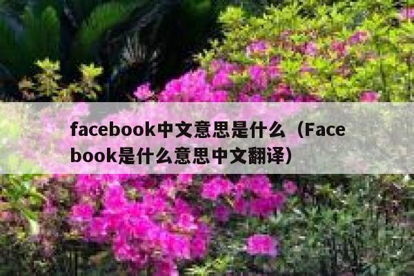 facebook中文意思是什么（Facebook是什么意思中文翻译） 第1张