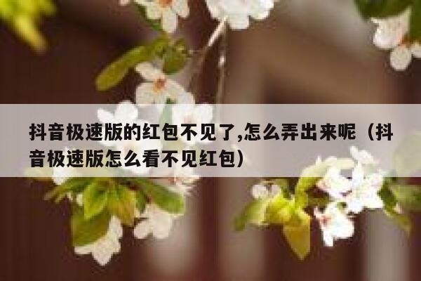 抖音极速版的红包不见了,怎么弄出来呢（抖音极速版怎么看不见红包） 第1张