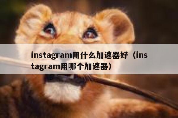 instagram用什么加速器好(instagram用哪个加速器) 第1张 instagram用什么加速器好(instagram用哪个加速器) 第1张