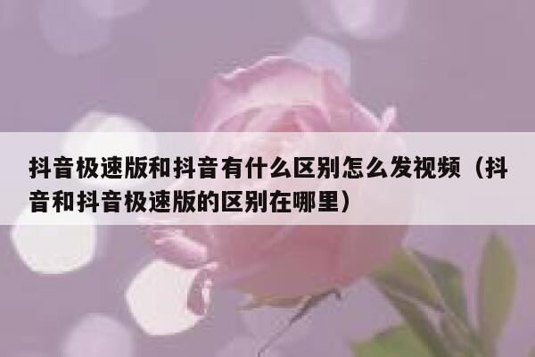 抖音极速版和抖音有什么区别怎么发视频（抖音和抖音极速版的区别在哪里） 第1张
