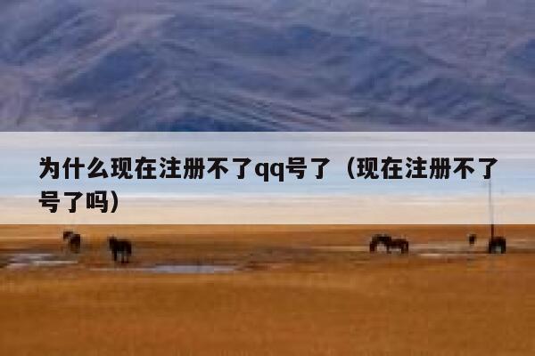 为什么现在注册不了qq号了（现在注册不了号了吗） 第1张