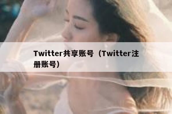 Twitter共享账号（Twitter注册账号） 第1张