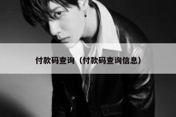 付款码查询（付款码查询信息） 第1张