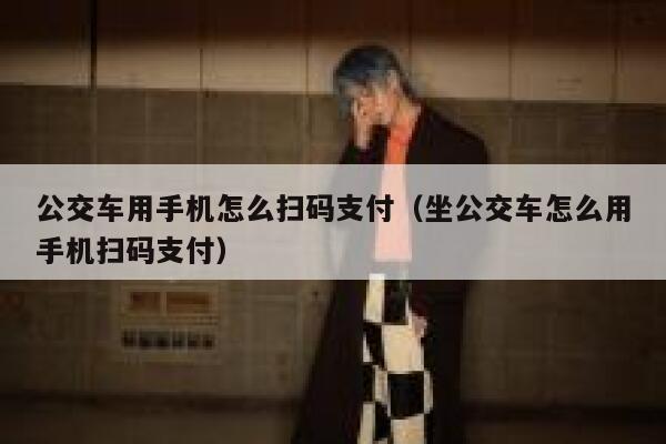 公交车用手机怎么扫码支付（坐公交车怎么用手机扫码支付） 第1张