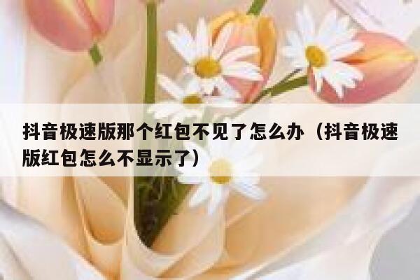 抖音极速版那个红包不见了怎么办（抖音极速版红包怎么不显示了） 第1张