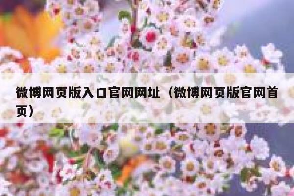 微博网页版入口官网网址（微博网页版官网首页） 第1张