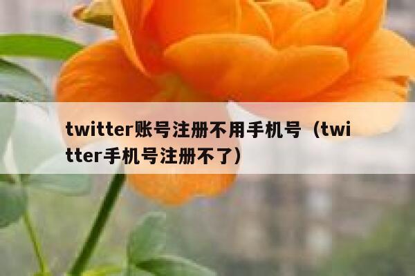twitter账号注册不用手机号（twitter手机号注册不了） 第1张