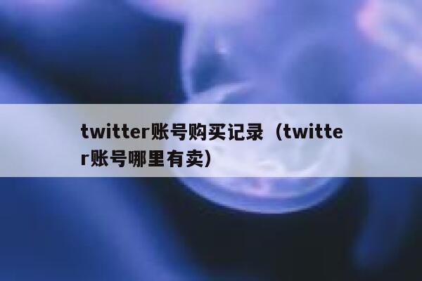 twitter账号购买记录（twitter账号哪里有卖） 第1张