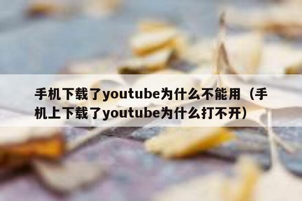 手机下载了youtube为什么不能用（手机上下载了youtube为什么打不开） 第1张