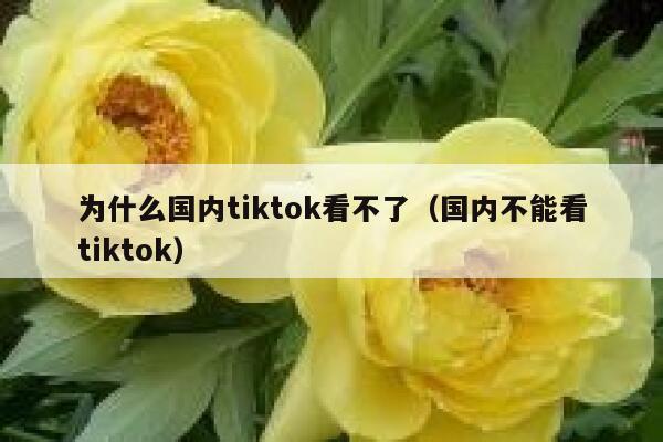 为什么国内tiktok看不了（国内不能看tiktok） 第1张