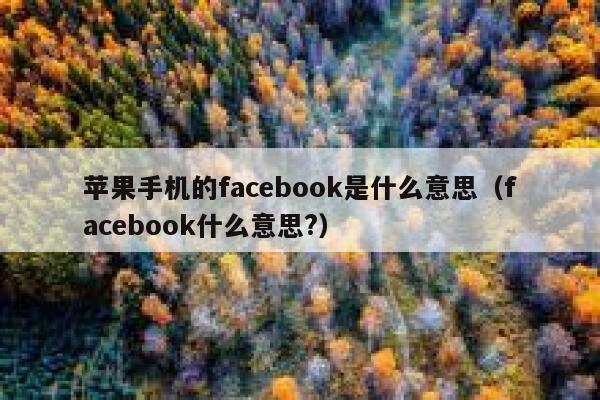 苹果手机的facebook是什么意思（facebook什么意思?） 第1张