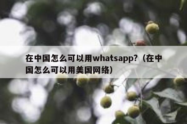 在中国怎么可以用whatsapp?（在中国怎么可以用美国网络） 第1张