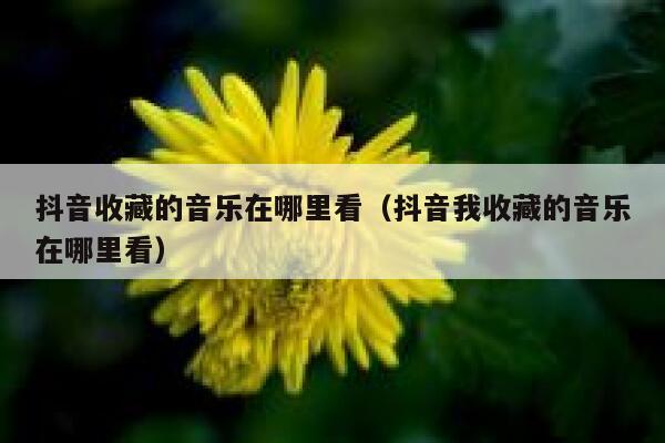 抖音收藏的音乐在哪里看（抖音我收藏的音乐在哪里看） 第1张