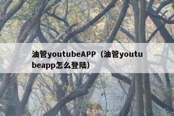 油管youtubeAPP（油管youtubeapp怎么登陆） 第1张