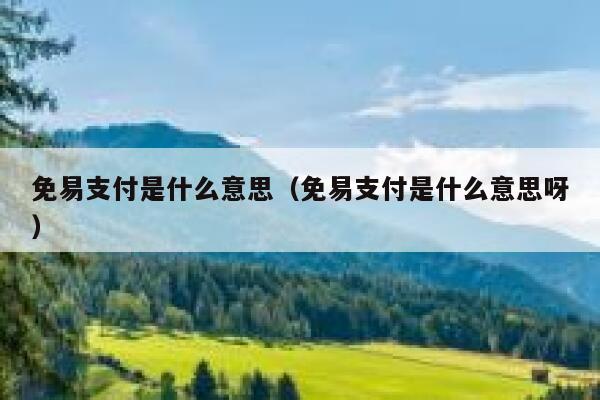 免易支付是什么意思（免易支付是什么意思呀） 第1张
