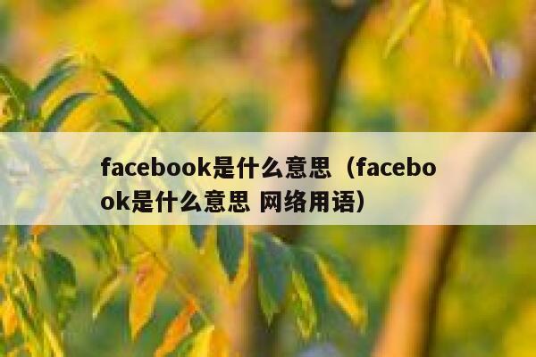 facebook是什么意思（facebook是什么意思 网络用语） 第1张