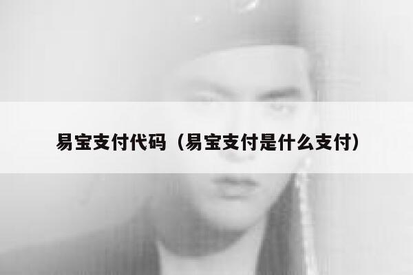 易宝支付代码（易宝支付是什么支付） 第1张