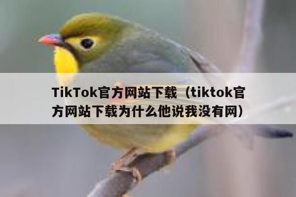 TikTok官方网站下载（tiktok官方网站下载为什么他说我没有网） 第1张