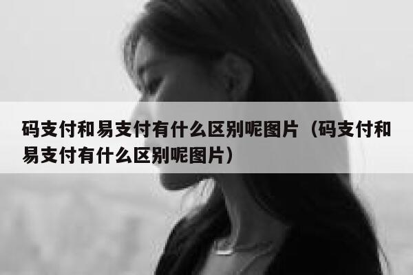 码支付和易支付有什么区别呢图片（码支付和易支付有什么区别呢图片） 第1张