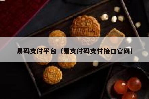 易码支付平台（易支付码支付接口官网） 第1张
