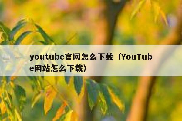 youtube官网怎么下载（YouTube网站怎么下载） 第1张