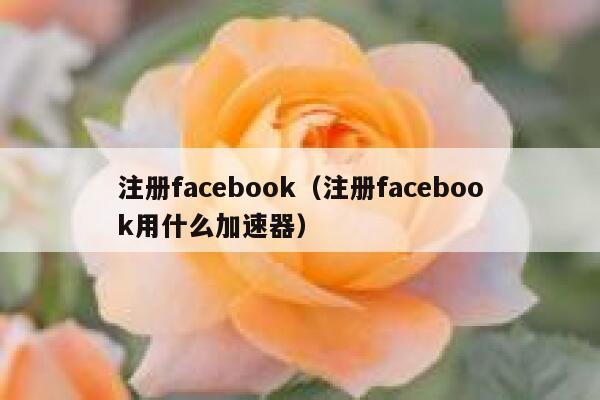 注册facebook（注册facebook用什么加速器） 第1张