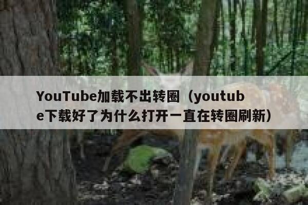 YouTube加载不出转圈（youtube下载好了为什么打开一直在转圈刷新） 第1张