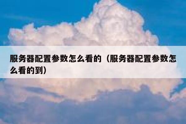 服务器配置参数怎么看的（服务器配置参数怎么看的到） 第1张