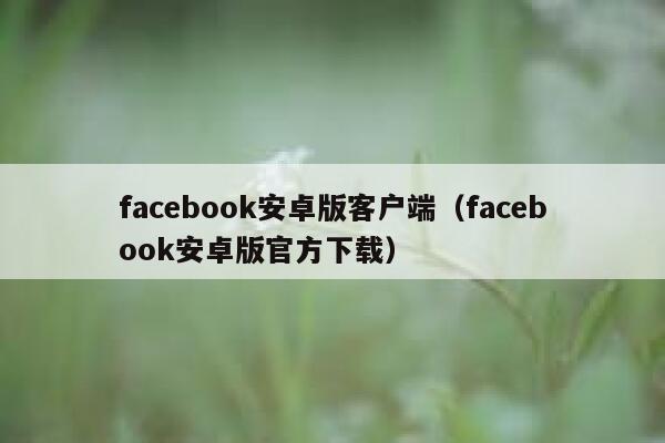 facebook安卓版客户端（facebook安卓版官方下载） 第1张